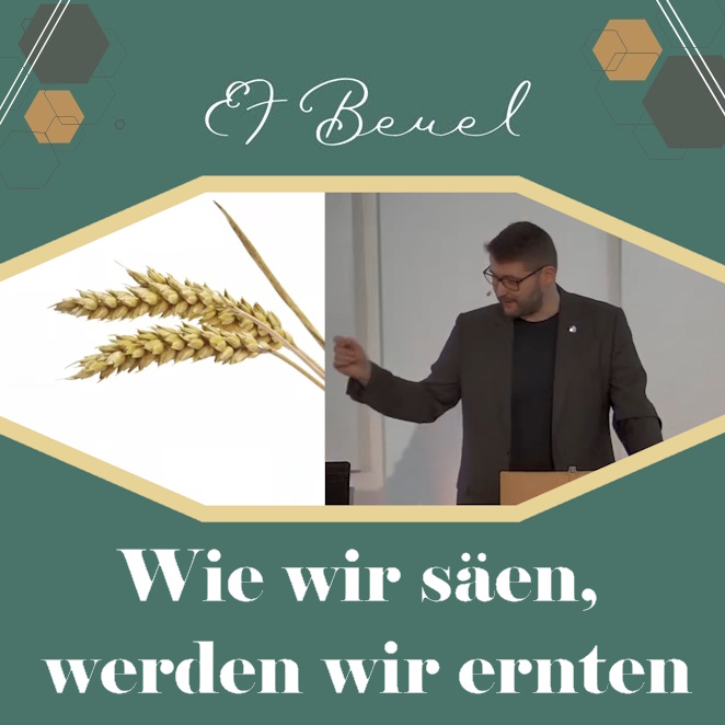 Wie wir säen, werden wir ernten